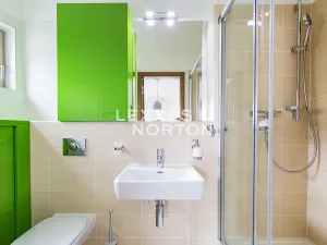 Pronájem bytu 4+kk, Praha - Žižkov, Jeseniova, 116 m2