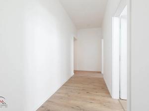 Pronájem bytu 2+kk, Ostrava, Palackého, 50 m2