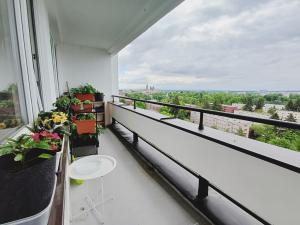 Prodej bytu 3+1, Hradec Králové - Pražské Předměstí, Baarova, 77 m2