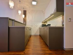 Pronájem bytu 1+kk, Olomouc - Nová Ulice, Wellnerova, 45 m2