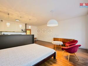 Pronájem bytu 1+kk, Olomouc - Nová Ulice, Wellnerova, 45 m2