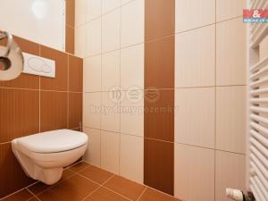 Pronájem bytu 1+kk, Olomouc - Nová Ulice, Wellnerova, 45 m2