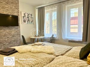 Prodej apartmánu, Zlaté Hory, Kostelní, 35 m2