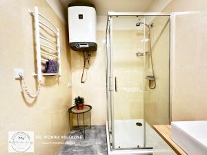Prodej apartmánu, Zlaté Hory, Kostelní, 35 m2