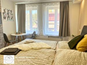 Prodej apartmánu, Zlaté Hory, Kostelní, 35 m2