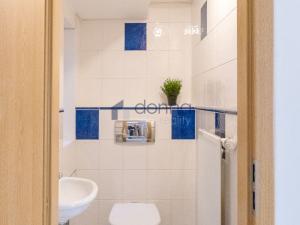 Pronájem bytu 3+kk, Praha - Smíchov, Petřínská, 115 m2