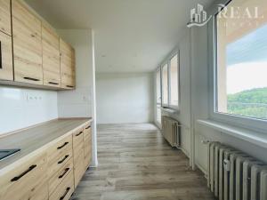 Pronájem bytu 1+1, Bílina - Pražské Předměstí, Fügnerova, 34 m2