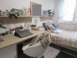 Prodej bytu 3+1, Protivín, Družstevní, 71 m2