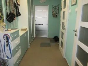 Prodej bytu 3+1, Protivín, Družstevní, 71 m2