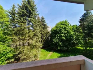 Pronájem bytu 1+1, Jihlava, Březinova, 42 m2