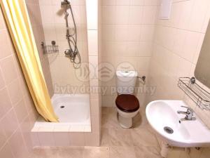 Pronájem bytu 1+kk, Jablonec nad Nisou, Rybářská, 43 m2