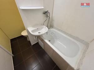 Pronájem bytu 1+kk, Ústí nad Labem - Ústí nad Labem-centrum, Malátova, 24 m2