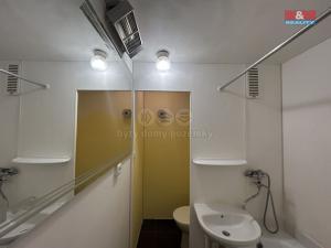 Pronájem bytu 1+kk, Ústí nad Labem - Ústí nad Labem-centrum, Malátova, 24 m2