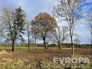 Prodej pozemku pro bydlení, Golčův Jeníkov, 1500 m2