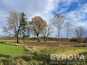 Prodej pozemku pro bydlení, Golčův Jeníkov, 1500 m2