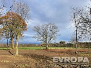 Prodej pozemku pro bydlení, Golčův Jeníkov, 1500 m2