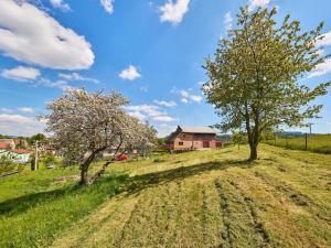 Prodej rodinného domu, Vernéřovice, 319 m2