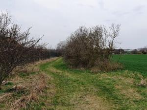 Prodej pozemku, Makotřasy, 638 m2