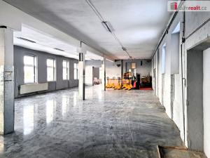 Pronájem skladu, Aš, Okružní, 2800 m2