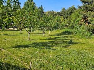 Dražba pozemku, Brno, Slatinská, 721 m2
