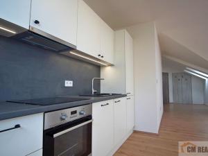 Pronájem bytu 1+kk, Olomouc - Hodolany, Holická, 53 m2