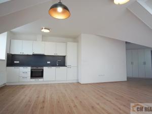 Pronájem bytu 1+kk, Olomouc - Hodolany, Holická, 53 m2