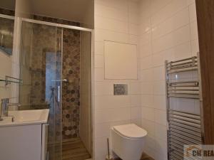 Pronájem bytu 1+kk, Olomouc - Hodolany, Holická, 53 m2