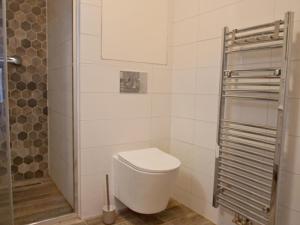 Pronájem bytu 1+kk, Olomouc - Hodolany, Holická, 53 m2