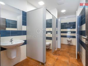 Prodej rodinného domu, Okrouhlo, 1076 m2