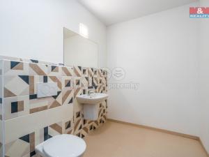 Prodej rodinného domu, Okrouhlo, 1076 m2