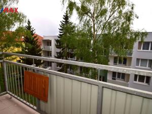 Pronájem bytu 1+1, České Budějovice - České Budějovice 3, Zachariášova, 46 m2