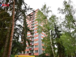 Pronájem bytu 1+1, České Budějovice - České Budějovice 3, Zachariášova, 46 m2