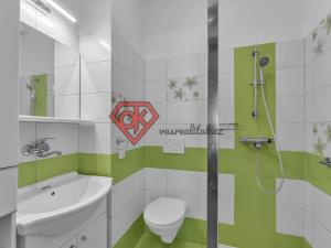Prodej rodinného domu, Jamné nad Orlicí, 358 m2