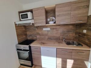 Pronájem bytu 1+kk, Pardubice - Polabiny, Lidická, 36 m2