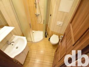 Pronájem bytu 1+1, Karlovy Vary, Zeyerova, 35 m2