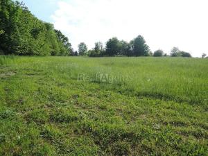 Prodej pozemku pro bydlení, Bílov, 1138 m2