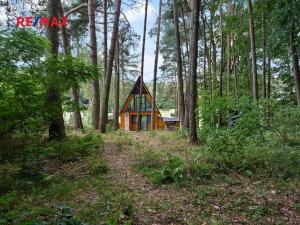 Prodej rodinného domu, Žďár nad Orlicí, 51 m2