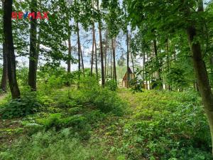 Prodej rodinného domu, Žďár nad Orlicí, 51 m2