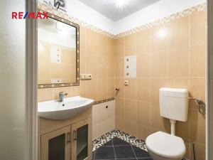 Prodej rodinného domu, Čenkovice, 175 m2