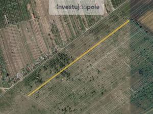 Prodej pole, Břeclav - Charvátská Nová Ves, 1006 m2