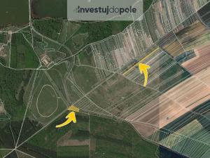 Prodej pole, Břeclav - Charvátská Nová Ves, 1006 m2