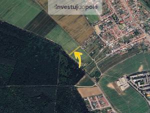 Prodej pole, Břeclav - Charvátská Nová Ves, 1006 m2