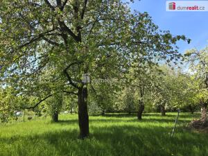 Prodej rodinného domu, Staré Smrkovice, 250 m2