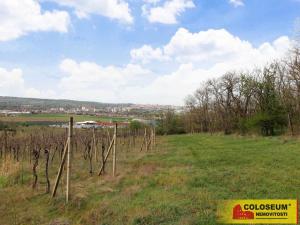 Prodej pozemku, Znojmo - Oblekovice, 16843 m2