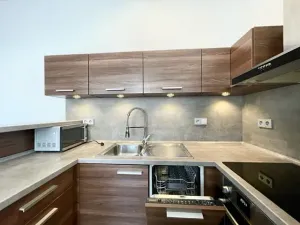 Pronájem bytu 2+kk, Liberec, Riegrova, 60 m2
