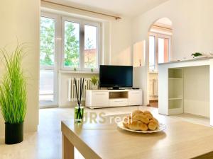 Pronájem bytu 1+1, Uherské Hradiště, Mojmírova, 31 m2