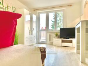 Pronájem bytu 1+1, Uherské Hradiště, Mojmírova, 31 m2