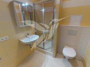 Pronájem bytu 1+kk, Plzeň, Žlutická, 35 m2