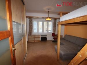 Pronájem bytu 1+1, Praha - Žižkov, Viklefova, 47 m2