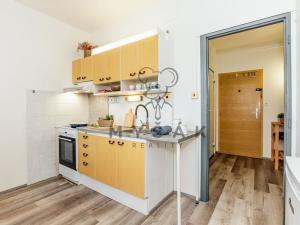 Prodej bytu 1+1, České Budějovice - České Budějovice 2, Ant. Barcala, 31 m2